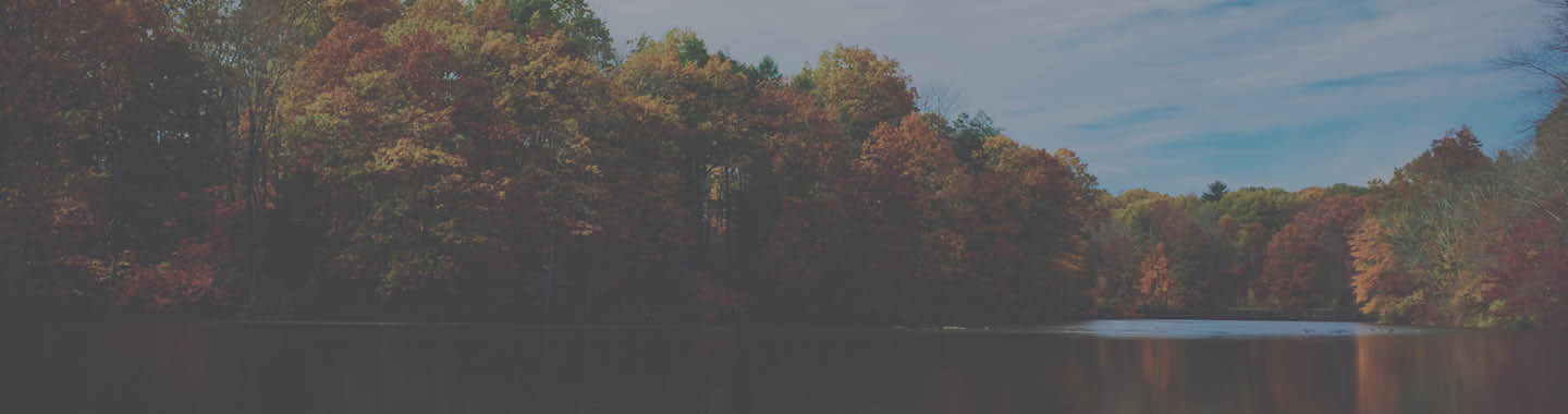 A serene lake near autumn trees
